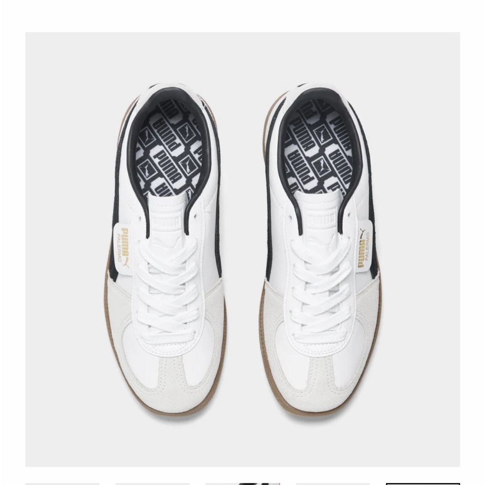 Puma Palmero